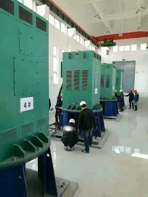 瓮安某污水处理厂使用我厂的立式高压电机安装现场