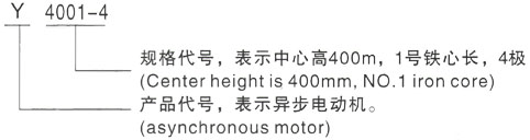 西安泰富西玛Y系列(H355-1000)高压瓮安三相异步电机型号说明